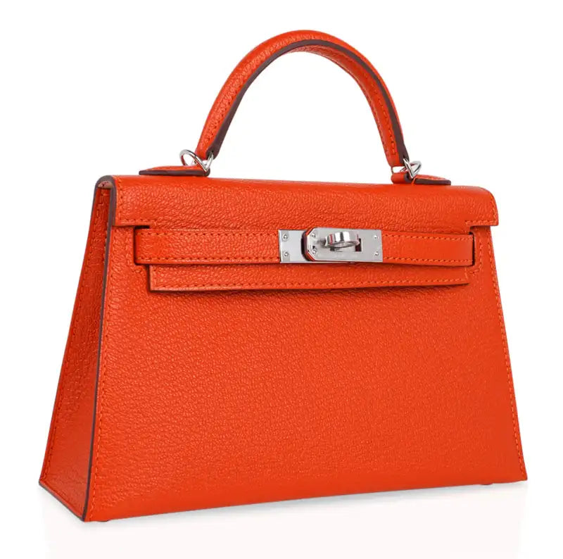 Hermes Kelly 20 Mini Sellier Bag (Mirror)